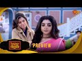 Brindabon Bilashini বৃন্দাবন বিলাসিনী Preview 14 Jan 2026 Bangla Ser