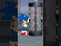 Sonic, We Have Amy Rose At Home