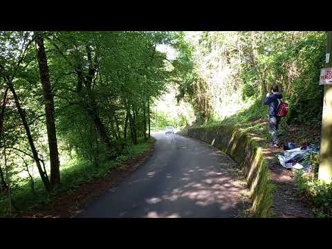 Rally Bellunese 2021 crash