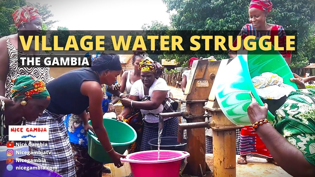 Alt Text: A detailed infographic showing the step-by-step process of photosynthesis in a plant leaf. Image Title: Visual b...