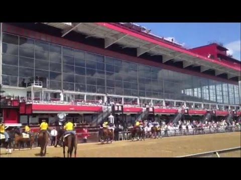 Preak Peek: Pimlico panorama