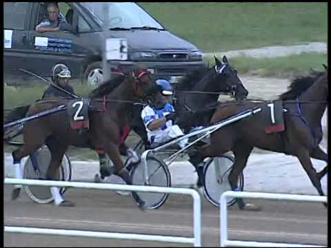 Trotto 21/09/2014 - 2° corsa