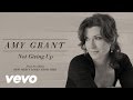 Amy Grant - Not Giving Up (Lyric)