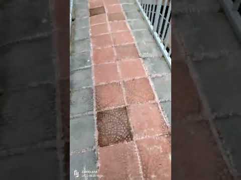 Sajek valley monuadam risute