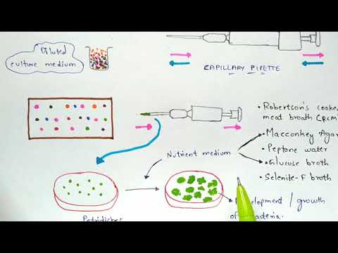 Tissue engineering Technique Procedure Bio science