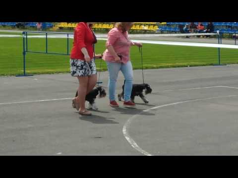 16.07.2017 NDS Sirius, Dzerzhinsk (1)