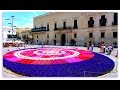Kwiatowy Dywan Valletta