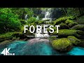 FLYING OVER FOREST (4K UHD) - RELAXING MUSIC  ..