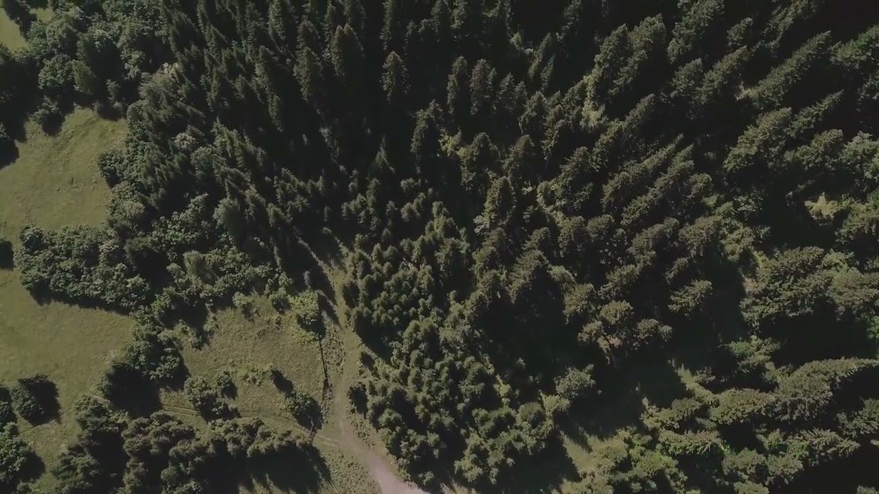 Explore Free Meditation Songs: A Gateway to Peaceful Living, free meditation songs