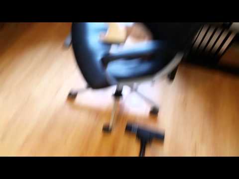 Kitten doesn't care about vacuum cleaner