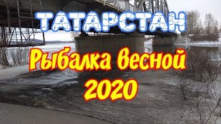 Отчеты о рыбалке в казани июль 2020