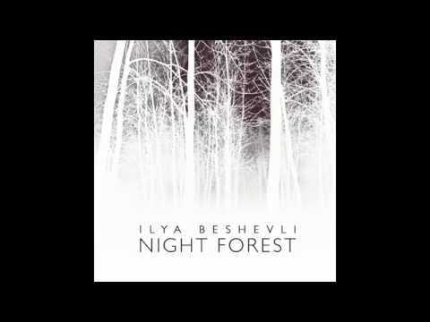 Beautiful image Ilya Beshevli