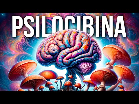 Como os COGUMELOS MUDAM o CÉREBRO