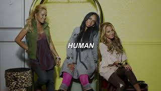 The Cheetah Girls - Human (Traducida al español + Lyrics)