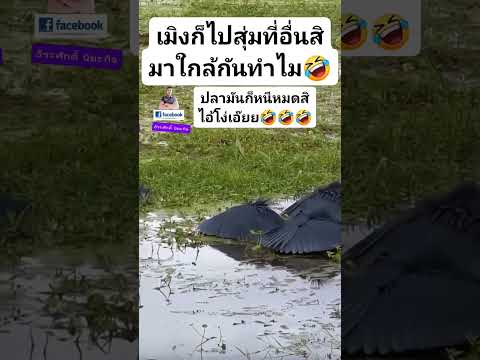 สุ่มเป็นเพื่อนกันได้