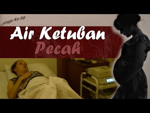 Bagaimana untuk berkembang biak patogen kuda Bagaimana meningkatkan masturbasi anggotanya