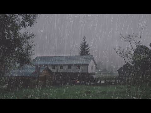 Sleep Instantly in 11 Minutes 💤 Relaxing Rain Sound in Foggy Forest for Deep Sleep - ASMR