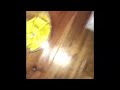 The Best Eggo Commercials Compilation 2010 2012