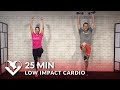 25 Min Standing Low Impact Cardio Workout for Beginners with No Jumping - Beginner Workout Routine
