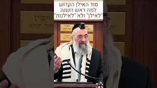 ראש השנה "לאילן" – לא מה שלמדנו בגן (הרב יצחק ישראלי) - התמונה מוצגת ישירות מתוך אתר האינטרנט יוטיוב. זכויות היוצרים בתמונה שייכות ליוצרה. קישור קרדיט למקור התוכן נמצא בתוך דף הסרטון