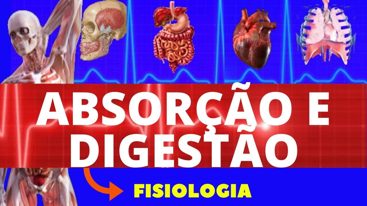 ABSORÇÃO E DIGESTÃO GASTROINTESTINAL - FISIOLOGIA DE GUYTON - FISIOLOGIA HUMANA - INTESTINO DELGADO