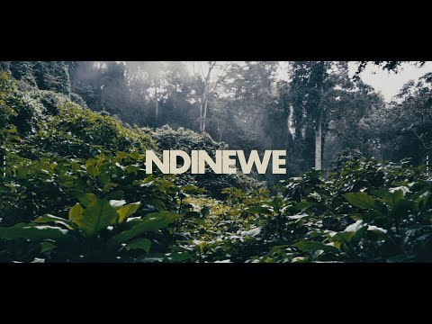 NDINEWE - Gemma Griffiths