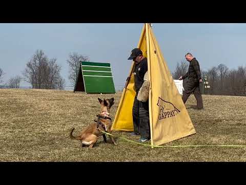 IGP Protection Training