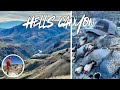 Hells Canyon Chukar 2025