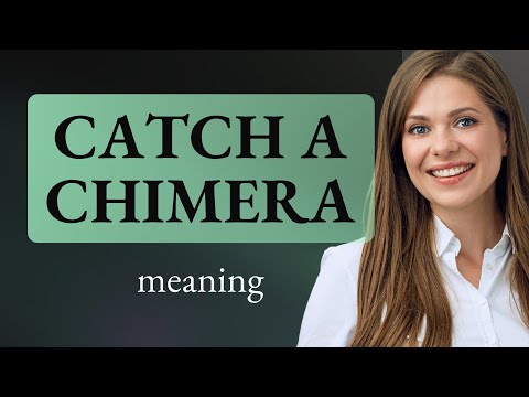 Catching a Chimera: Unraveling Idiomatic Expressions