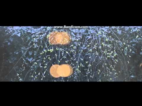 South Blunt System - Na Koniec Świata