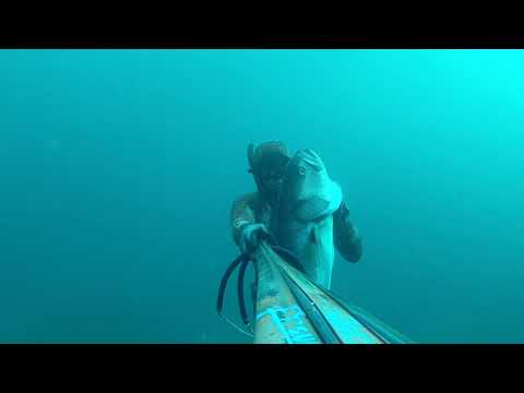 Spearfishing pesca submarina en Gran Canaria islas Canarias