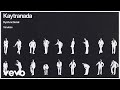 KAYTRANADA VanJess DYSFUNCTIONAL Audio
