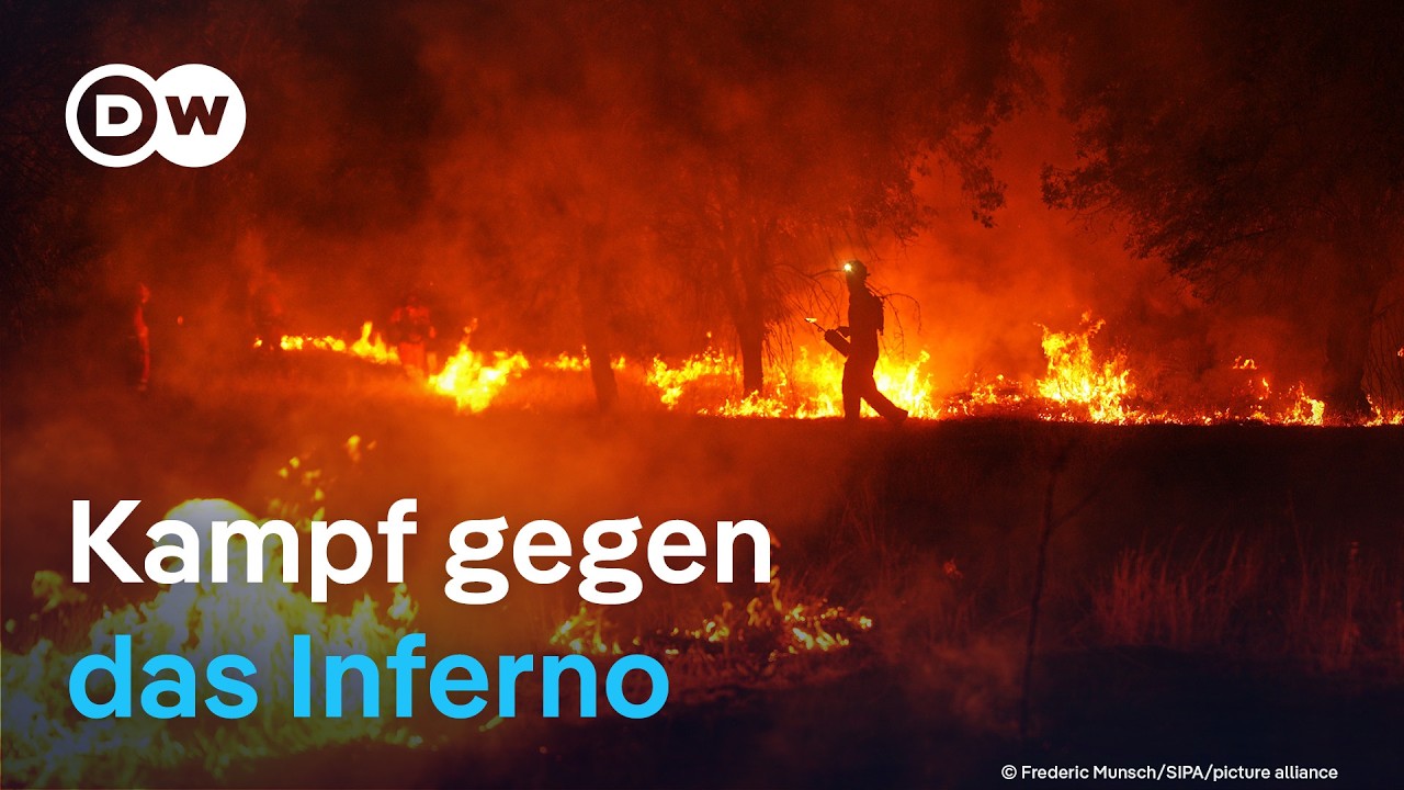 An der Feuerfront in Frankreich und Spanien