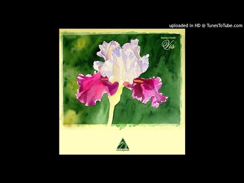 Stanley Foster - Vis [Dub Mix]