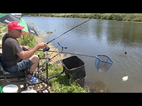 Pecanje na kanalu DTD na fider - bela riba, deverika - pripremanje hrane | Feeder fishing