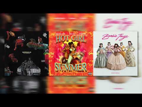 Nicki Minaj vs. Megan Thee Stallion x VickeeLo - Hot Ride Tingz (Sydney Noel Mashup)