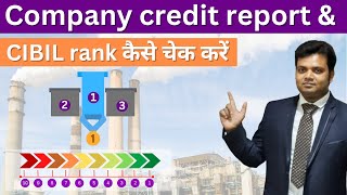 How to check Company Credit Report & CIBIL Rank online (Method #2)