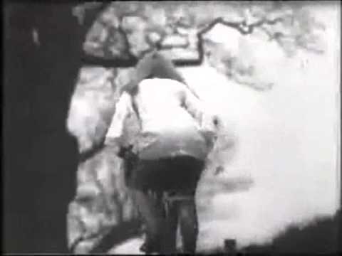 Classic Ads: British Rail InterCity