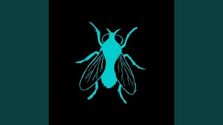 Cover art for Decompose