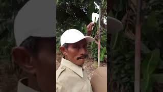 Download lagu sabar atii 😭 #djslowfullbass #musician #djtiktok2024 #tobrut #djterbaru2024 #dennycaknan mp3 Download lagu sabar atii 😭 #djslowfullbass #musician #djtiktok2024 #tobrut #djterbaru2024 #dennycaknan mp3