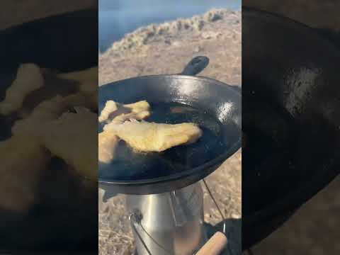 Fishing Without This Is Insane!