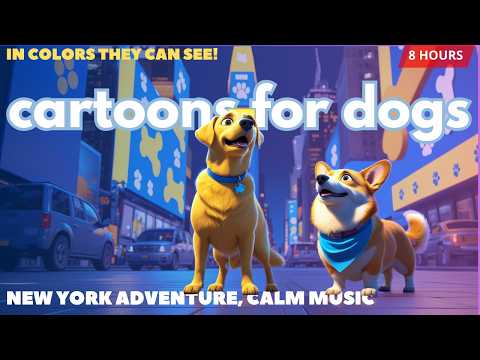 Cartoons for Dogs to Watch, in Colors They Can See! Adventure in New York 🗽💙🐾 With Calming Music ✨
