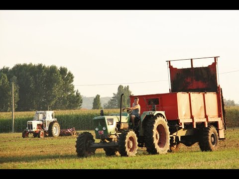 Landb. Morel - Wervik - Deutz 10 006 - David Brown 1212