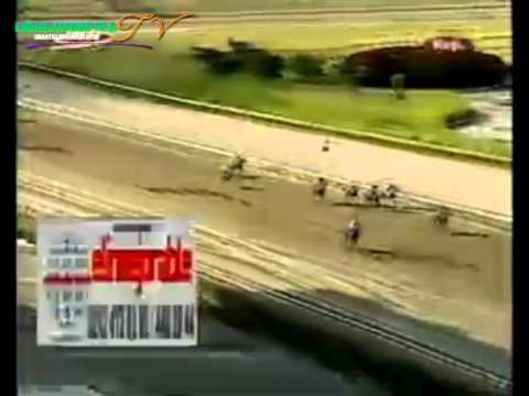 LA RINCONADA 6 CARRERA, DOMINGO 12 DE OCTUBRE DEL 2014