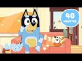 Playing Games With Bingo Best Bluey Full Episodes And Minisodes Bluey