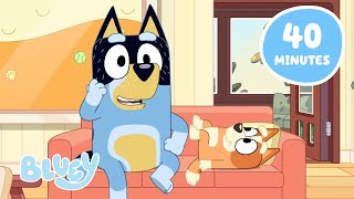 Playing Games with Bingo! 🧡 😮 💙 | Best Bluey Full Episodes and Minisodes | Bluey