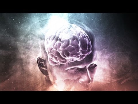 This is your brain on heroin