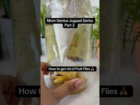 How to get rid of Fruit flies. #fruitflies #insecttrap #flies #fly #hacks #kitchenhacks