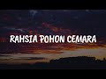 Rahsia Pohon Cemara Ku Di Halaman Rindu Masih Aku Terasa Lirik Exist