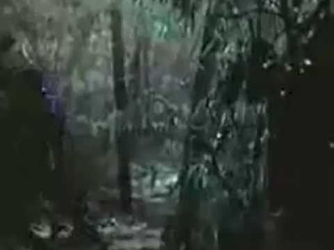 Jaan - E - Chaman Shola Badan  .......